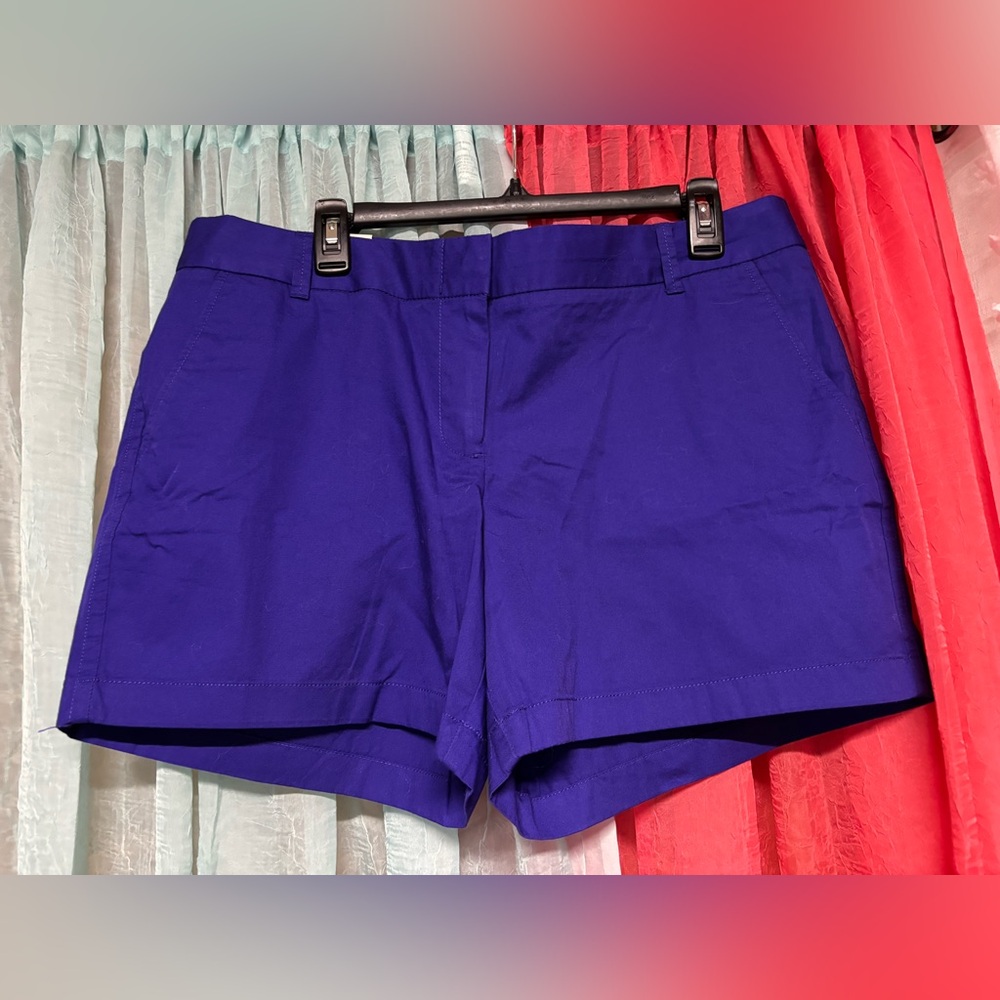 J. Crew Women's Blue Shorts